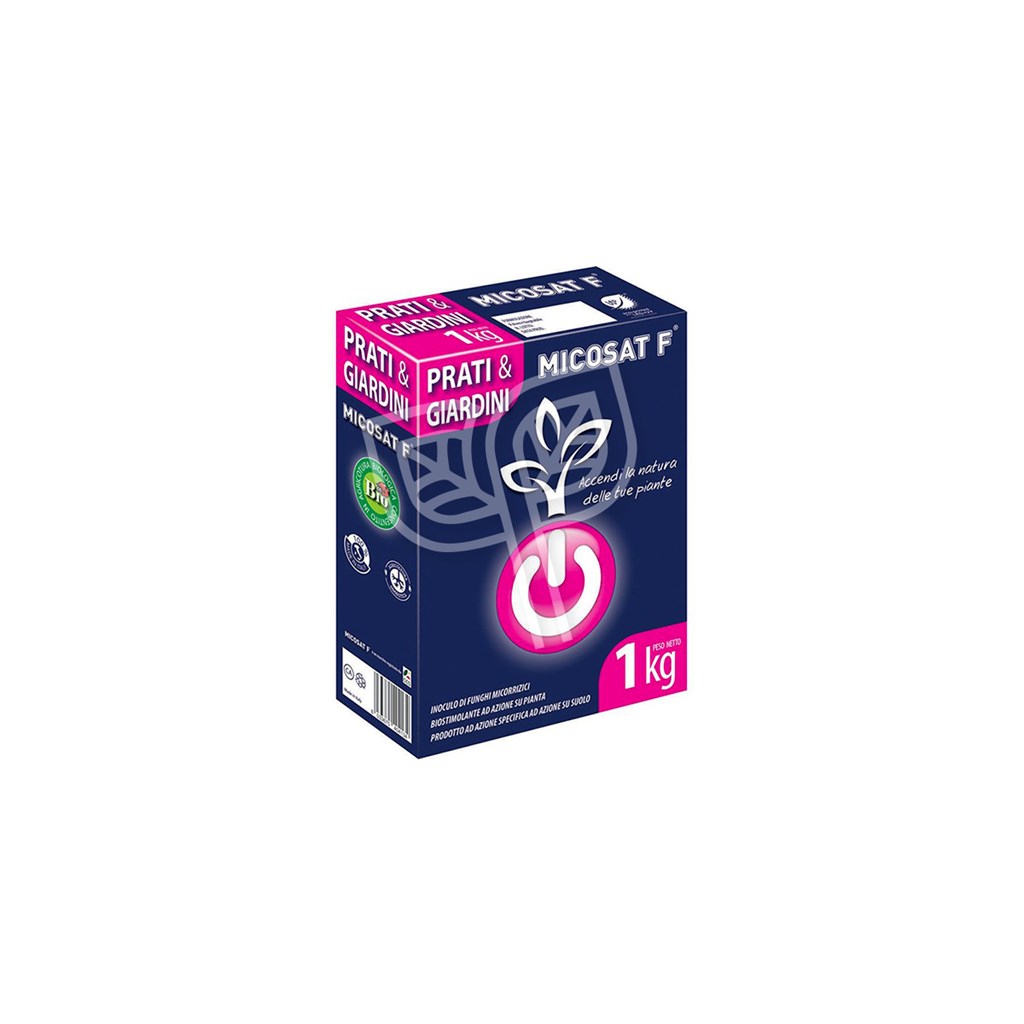 MICOSAT F C.C.S. - KG 1